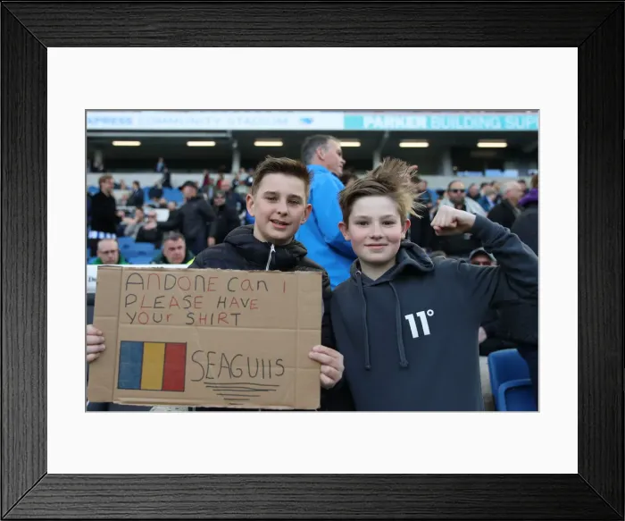 Framed Print : Brighton and Hove Albion vs. Newcastle United: Premier League Showdown at American Express Community Stadium (27APR19)