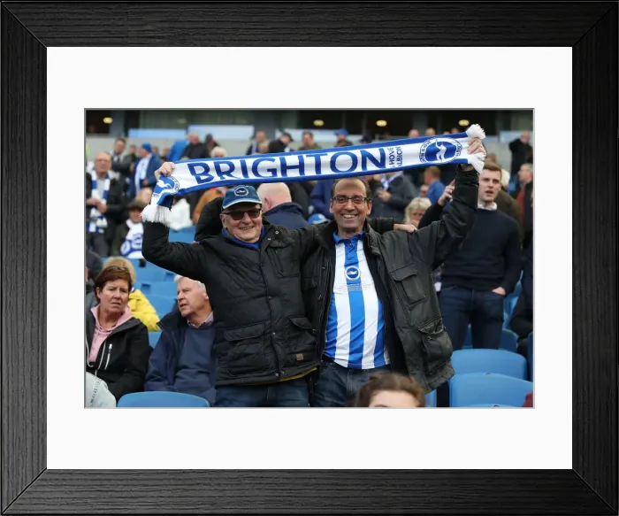 Framed Print : Premier League Showdown: Brighton & Hove Albion vs. Newcastle United (27APR19) - American Express Community Stadium Framed Print : Premier League Showdown: Brighton & Hove Albion vs. Newcastle United (27APR19) - American Express Community Stadium