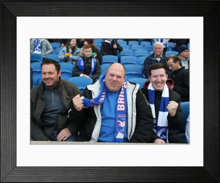 Framed Print : Premier League Showdown: Brighton & Hove Albion vs. Newcastle United (27APR19)