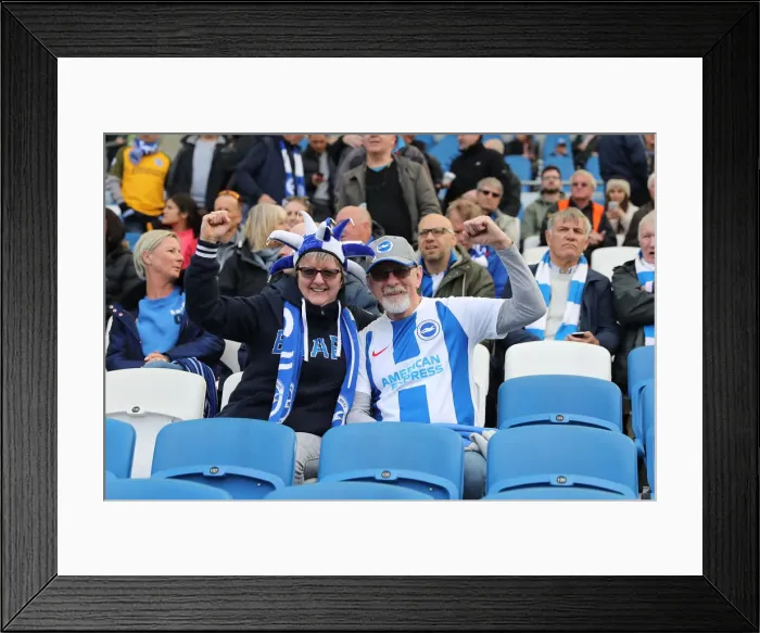 Framed Print : Premier League Showdown: Brighton & Hove Albion vs. Newcastle United (27APR19) Framed Print : Premier League Showdown: Brighton & Hove Albion vs. Newcastle United (27APR19)