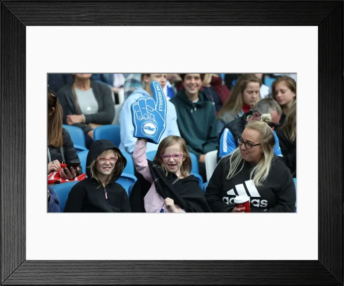 Framed Print : Brighton & Hove Albion Women vs. Arsenal Women: WSL Clash at American Express Community Stadium (29APR19) - Intense Match Action Framed Print : Brighton & Hove Albion Women vs. Arsenal Women: WSL Clash at American Express Community Stadium (29APR19) - Intense Match Action