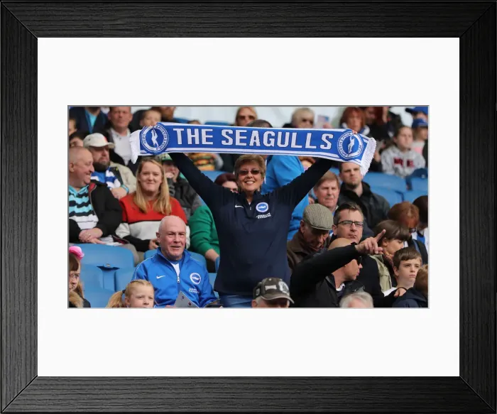 Framed Print : Brighton and Hove Albion Women vs. Arsenal Women: WSL Clash at American Express Community Stadium (29APR19) - Intense Match Action Framed Print : Brighton and Hove Albion Women vs. Arsenal Women: WSL Clash at American Express Community Stadium (29APR19) - Intense Match Action