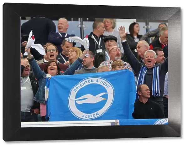 Passionate Brighton and Hove Albion Fans at American Express Community Stadium vs Manchester City (May 12, 2019)