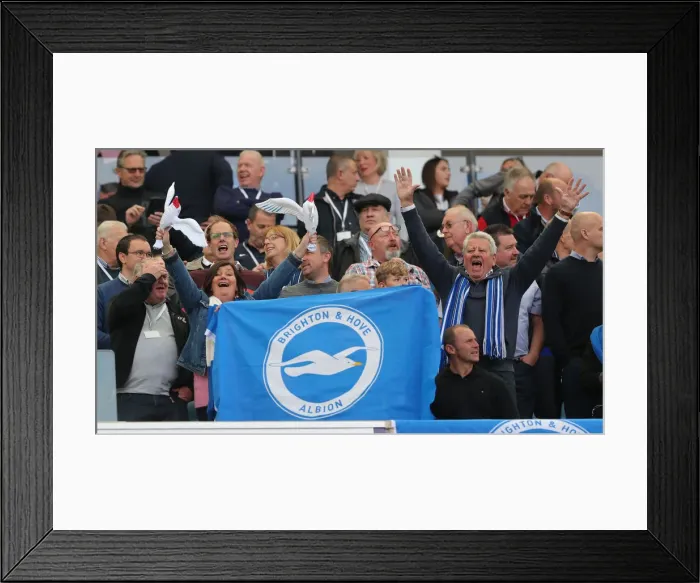 Framed Print : Passionate Brighton and Hove Albion Fans at American Express Community Stadium vs Manchester City (May 12, 2019) Framed Print : Passionate Brighton and Hove Albion Fans at American Express Community Stadium vs Manchester City (May 12, 2019)