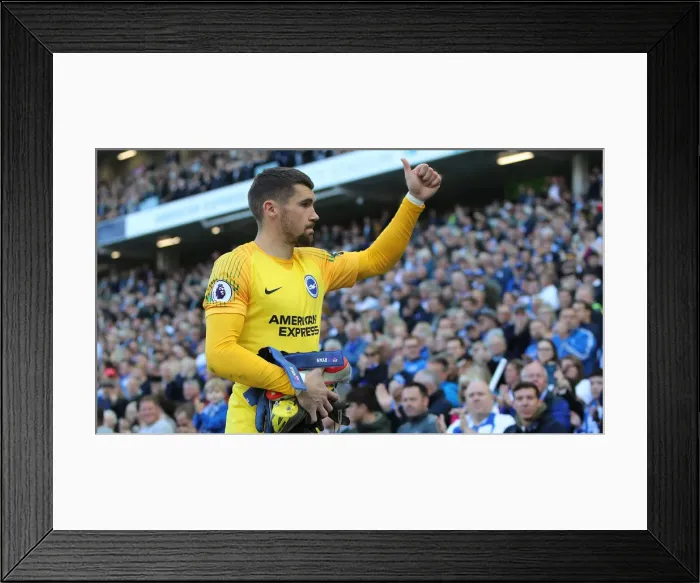Framed Print : Brighton and Hove Albion vs Manchester City: Premier League Showdown at American Express Community Stadium (May 12, 2019) Framed Print : Brighton and Hove Albion vs Manchester City: Premier League Showdown at American Express Community Stadium (May 12, 2019)