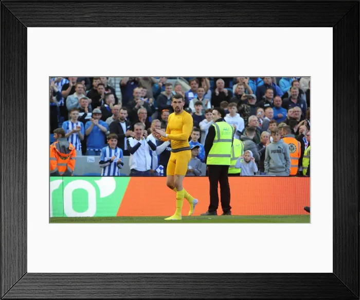 Framed Print : Brighton and Hove Albion vs Manchester City: Premier League Showdown at American Express Community Stadium (May 12, 2019) Framed Print : Brighton and Hove Albion vs Manchester City: Premier League Showdown at American Express Community Stadium (May 12, 2019)