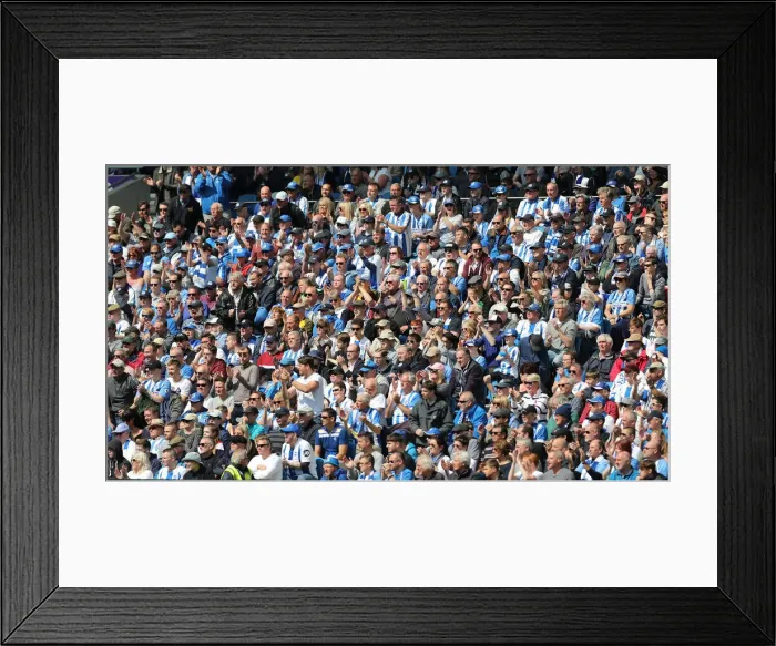 Framed Print : Brighton and Hove Albion vs Manchester City: Premier League Showdown at American Express Community Stadium (May 12, 2019) Framed Print : Brighton and Hove Albion vs Manchester City: Premier League Showdown at American Express Community Stadium (May 12, 2019)