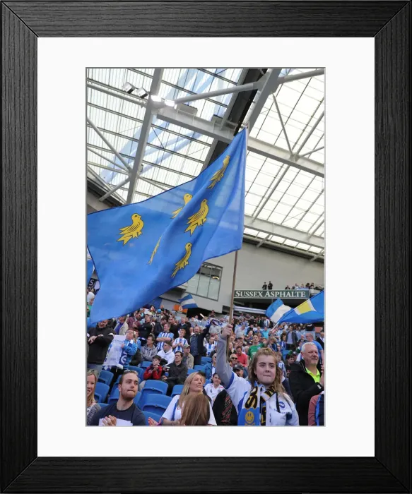 Framed Print : Brighton and Hove Albion vs Manchester City: Premier League Showdown at American Express Community Stadium (May 12, 2019)