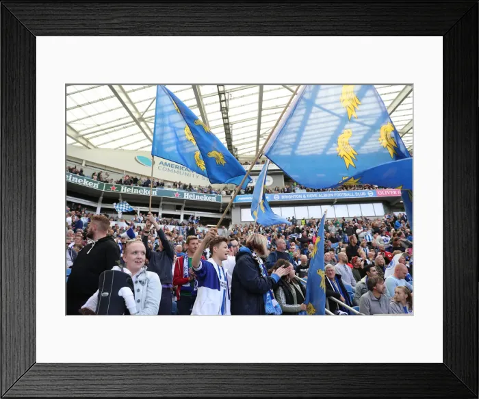 Framed Print : Brighton and Hove Albion vs Manchester City: Premier League Showdown at American Express Community Stadium (May 12, 2019)