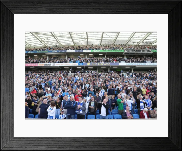 Framed Print : Brighton and Hove Albion vs Manchester City: Premier League Showdown at American Express Community Stadium (May 12, 2019) Framed Print : Brighton and Hove Albion vs Manchester City: Premier League Showdown at American Express Community Stadium (May 12, 2019)
