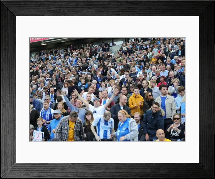 Framed Print : Brighton and Hove Albion vs Manchester City: Premier League Showdown at American Express Community Stadium (May 12, 2019) Framed Print : Brighton and Hove Albion vs Manchester City: Premier League Showdown at American Express Community Stadium (May 12, 2019)