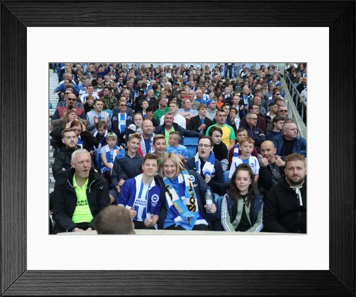Framed Print : Brighton and Hove Albion vs Manchester City: Premier League Showdown at American Express Community Stadium (May 12, 2019) Framed Print : Brighton and Hove Albion vs Manchester City: Premier League Showdown at American Express Community Stadium (May 12, 2019)