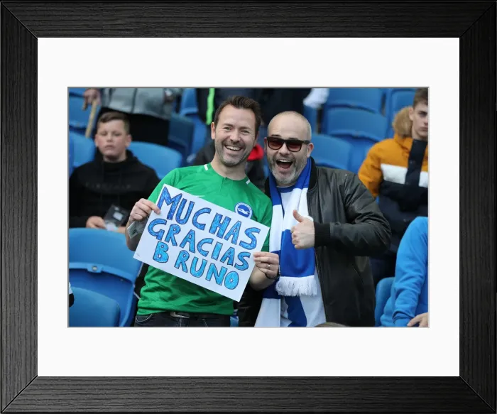 Framed Print : Brighton and Hove Albion vs Manchester City: Premier League Showdown at American Express Community Stadium (May 12, 2019) Framed Print : Brighton and Hove Albion vs Manchester City: Premier League Showdown at American Express Community Stadium (May 12, 2019)
