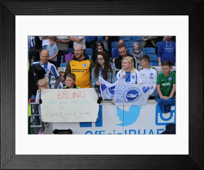 Framed Print : Brighton and Hove Albion vs Manchester City: Premier League Showdown at American Express Community Stadium (May 12, 2019) Framed Print : Brighton and Hove Albion vs Manchester City: Premier League Showdown at American Express Community Stadium (May 12, 2019)