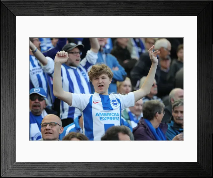 Framed Print : Brighton and Hove Albion vs Manchester City: Premier League Showdown at American Express Community Stadium (May 12, 2019)