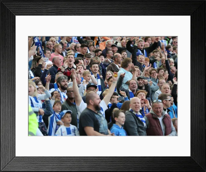 Framed Print : Brighton and Hove Albion vs Manchester City: Premier League Showdown at American Express Community Stadium (May 12, 2019) Framed Print : Brighton and Hove Albion vs Manchester City: Premier League Showdown at American Express Community Stadium (May 12, 2019)
