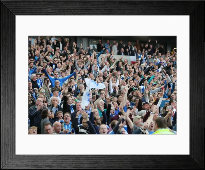 Framed Print : Brighton and Hove Albion vs Manchester City: Premier League Showdown at American Express Community Stadium (May 12, 2019) Framed Print : Brighton and Hove Albion vs Manchester City: Premier League Showdown at American Express Community Stadium (May 12, 2019)