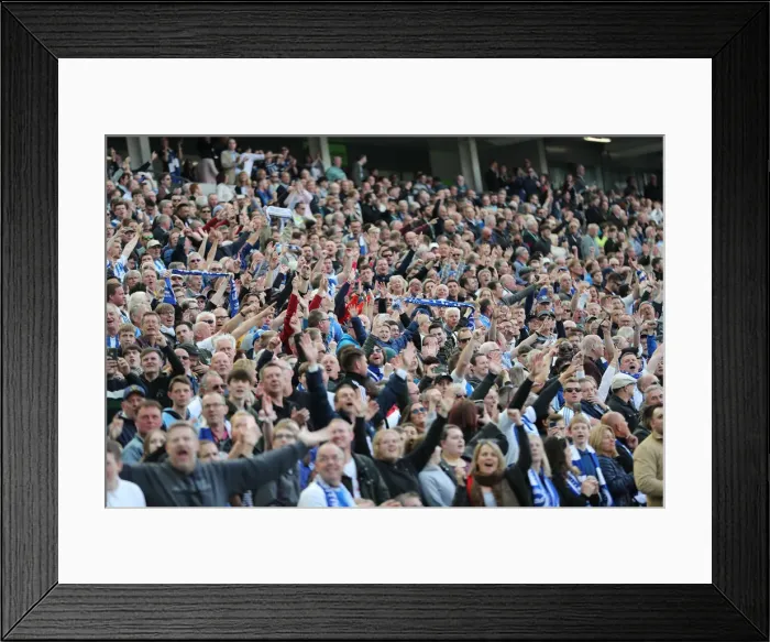 Framed Print : Brighton and Hove Albion vs Manchester City: Premier League Showdown at American Express Community Stadium (May 12, 2019) Framed Print : Brighton and Hove Albion vs Manchester City: Premier League Showdown at American Express Community Stadium (May 12, 2019)