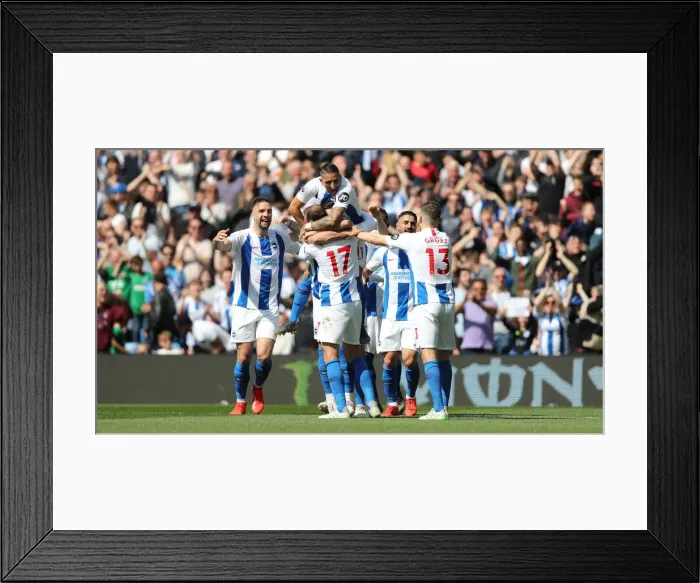 Framed Print : Brighton and Hove Albion vs Manchester City: Premier League Showdown at American Express Community Stadium (May 12, 2019) Framed Print : Brighton and Hove Albion vs Manchester City: Premier League Showdown at American Express Community Stadium (May 12, 2019)