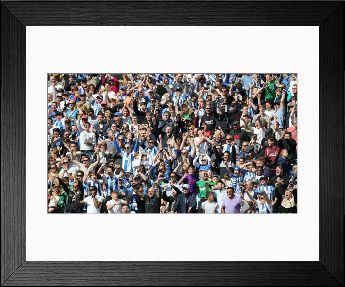 Framed Print : Brighton and Hove Albion vs Manchester City: Premier League Showdown at American Express Community Stadium (May 12, 2019) Framed Print : Brighton and Hove Albion vs Manchester City: Premier League Showdown at American Express Community Stadium (May 12, 2019)