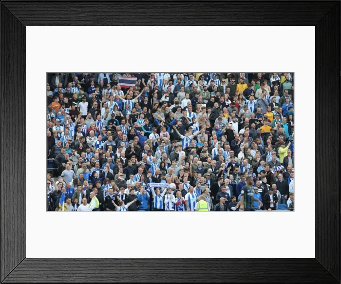 Framed Print : Brighton and Hove Albion vs Manchester City: Premier League Showdown at American Express Community Stadium (May 12, 2019) Framed Print : Brighton and Hove Albion vs Manchester City: Premier League Showdown at American Express Community Stadium (May 12, 2019)