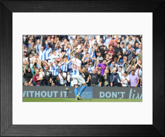 Framed Print : Brighton and Hove Albion vs Manchester City: Premier League Showdown at American Express Community Stadium (May 12, 2019) Framed Print : Brighton and Hove Albion vs Manchester City: Premier League Showdown at American Express Community Stadium (May 12, 2019)