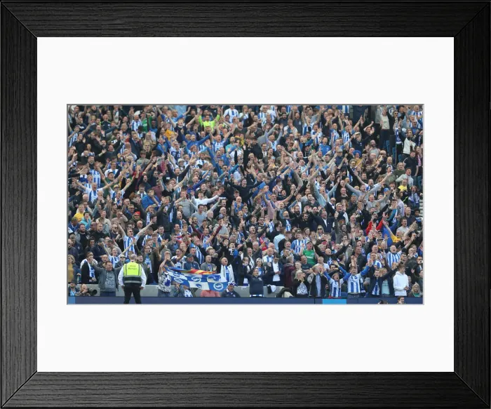 Framed Print : Brighton and Hove Albion vs Manchester City: Premier League Showdown at American Express Community Stadium (May 12, 2019) Framed Print : Brighton and Hove Albion vs Manchester City: Premier League Showdown at American Express Community Stadium (May 12, 2019)