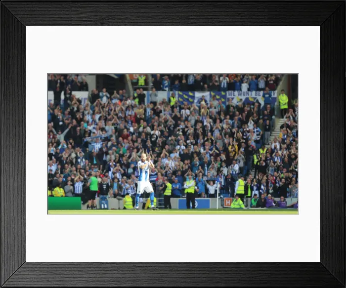 Framed Print : Brighton and Hove Albion vs Manchester City: Premier League Showdown at American Express Community Stadium (12 May 2019) Framed Print : Brighton and Hove Albion vs Manchester City: Premier League Showdown at American Express Community Stadium (12 May 2019)