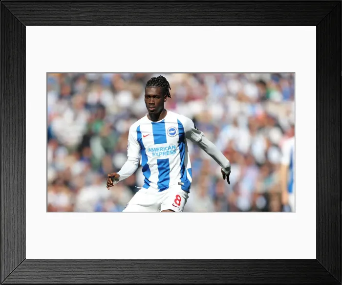 Framed Print : Brighton and Hove Albion vs Manchester City: Premier League Showdown at American Express Community Stadium (May 12, 2019) Framed Print : Brighton and Hove Albion vs Manchester City: Premier League Showdown at American Express Community Stadium (May 12, 2019)