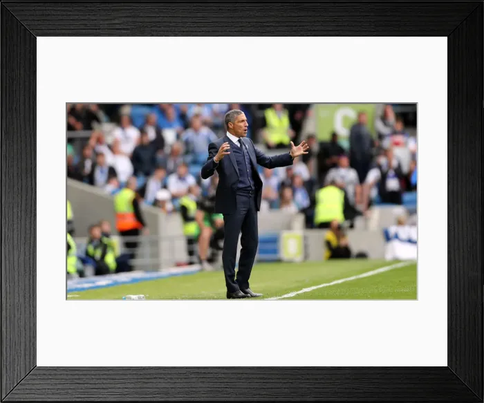 Framed Print : Brighton and Hove Albion vs Manchester City: Premier League Showdown at American Express Community Stadium (May 12, 2019) Framed Print : Brighton and Hove Albion vs Manchester City: Premier League Showdown at American Express Community Stadium (May 12, 2019)