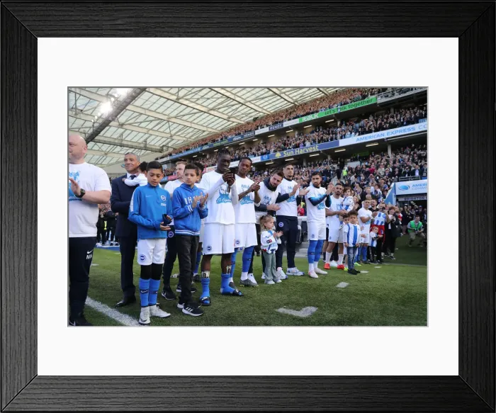 Framed Print : Brighton and Hove Albion Players Celebrate Promotion with Lap of Appreciation after Beating Manchester City (12 May 2019) Framed Print : Brighton and Hove Albion Players Celebrate Promotion with Lap of Appreciation after Beating Manchester City (12 May 2019)