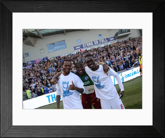 Framed Print : Brighton & Hove Albion: Premier League Survival Celebration - Players Lap of Appreciation (May 2019) Framed Print : Brighton & Hove Albion: Premier League Survival Celebration - Players Lap of Appreciation (May 2019)
