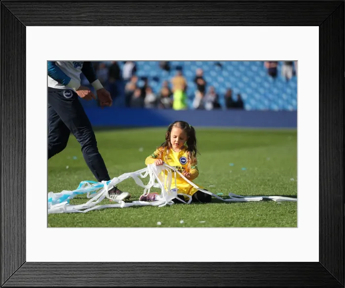 Framed Print : Brighton & Hove Albion: Premier League Survival Celebrated with Emotional Lap of Appreciation (12 May 2019) Framed Print : Brighton & Hove Albion: Premier League Survival Celebrated with Emotional Lap of Appreciation (12 May 2019)