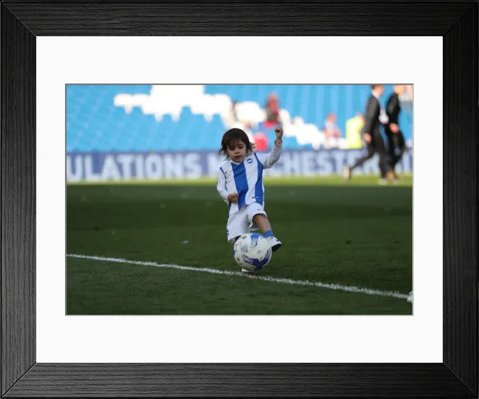 Framed Print : Brighton & Hove Albion: Premier League Survival Celebrated with Emotional Lap of Appreciation (May 2019) Framed Print : Brighton & Hove Albion: Premier League Survival Celebrated with Emotional Lap of Appreciation (May 2019)