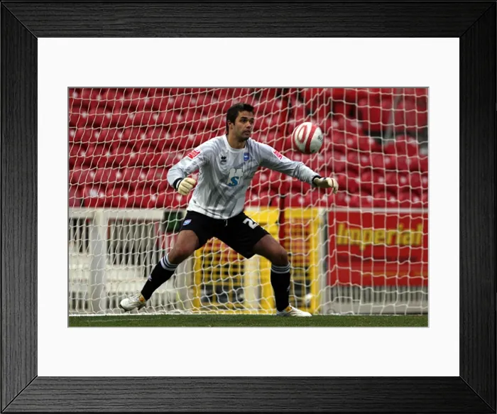 Framed Print : Peter Brezovan Framed Print : Peter Brezovan