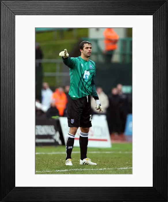 Framed Print : Peter Brezovan Framed Print : Peter Brezovan