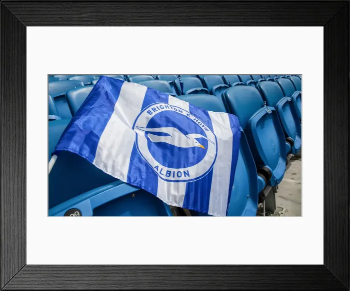 Framed Print : Brighton and Hove Albion vs. West Ham United: Premier League Battle at American Express Community Stadium (17th August 2019) Framed Print : Brighton and Hove Albion vs. West Ham United: Premier League Battle at American Express Community Stadium (17th August 2019)