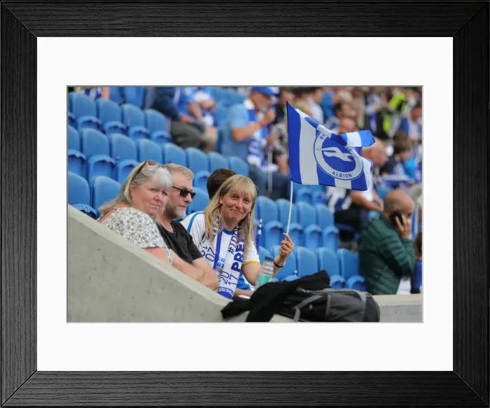 Framed Print : Brighton and Hove Albion vs. West Ham United: Premier League Showdown at American Express Community Stadium (17th August 2019) Framed Print : Brighton and Hove Albion vs. West Ham United: Premier League Showdown at American Express Community Stadium (17th August 2019)