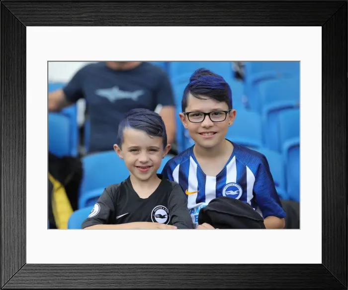 Framed Print : Brighton & Hove Albion vs. West Ham United: Premier League Showdown at American Express Community Stadium (17th August 2019) Framed Print : Brighton & Hove Albion vs. West Ham United: Premier League Showdown at American Express Community Stadium (17th August 2019)