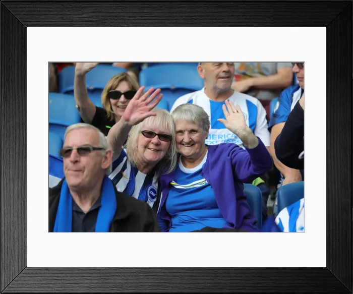 Framed Print : Brighton and Hove Albion vs. West Ham United: Premier League Battle at American Express Community Stadium (17th August 2019)