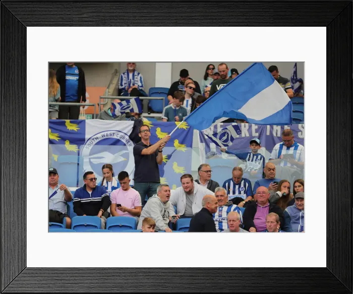 Framed Print : Brighton and Hove Albion vs. West Ham United: Premier League Showdown at American Express Community Stadium (17th August 2019) Framed Print : Brighton and Hove Albion vs. West Ham United: Premier League Showdown at American Express Community Stadium (17th August 2019)