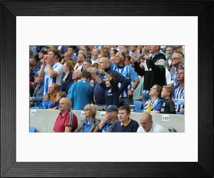 Framed Print : Brighton & Hove Albion vs. West Ham United: Premier League Showdown at American Express Community Stadium (August 17, 2019) Framed Print : Brighton & Hove Albion vs. West Ham United: Premier League Showdown at American Express Community Stadium (August 17, 2019)