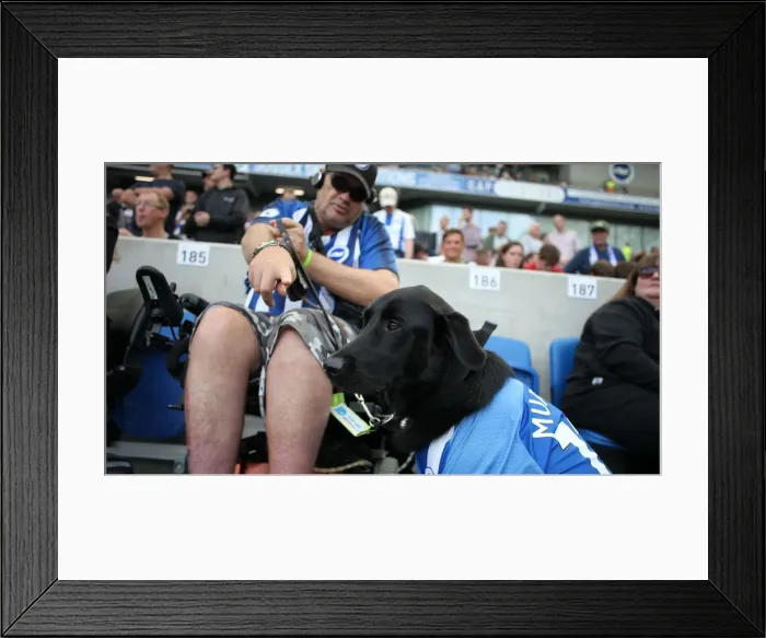 Framed Print : Brighton and Hove Albion vs. West Ham United: Premier League Showdown at American Express Community Stadium (17.08.19)