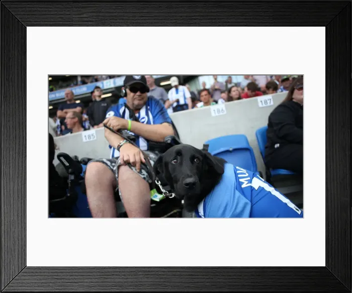 Framed Print : Brighton and Hove Albion vs. West Ham United: Premier League Battle at American Express Community Stadium (17.08.19) Framed Print : Brighton and Hove Albion vs. West Ham United: Premier League Battle at American Express Community Stadium (17.08.19)