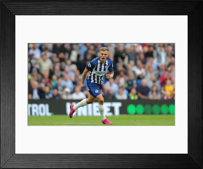 Framed Print : Brighton and Hove Albion vs. West Ham United: Premier League Battle at American Express Community Stadium (17.08.19)