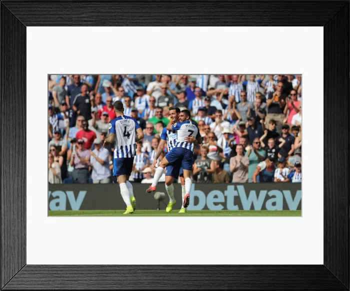 Framed Print : Brighton and Hove Albion vs Southampton: Premier League Showdown at American Express Community Stadium (24Aug19)
