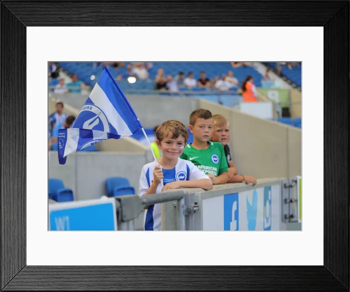 Framed Print : Brighton and Hove Albion vs. Southampton: Premier League Showdown at American Express Community Stadium (24Aug19) Framed Print : Brighton and Hove Albion vs. Southampton: Premier League Showdown at American Express Community Stadium (24Aug19)