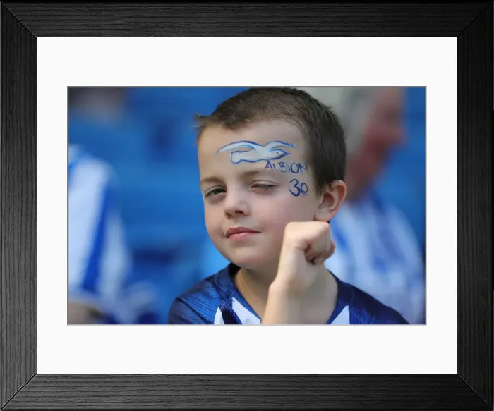Framed Print : Brighton and Hove Albion vs. Southampton: Premier League Showdown at American Express Community Stadium (24Aug19) Framed Print : Brighton and Hove Albion vs. Southampton: Premier League Showdown at American Express Community Stadium (24Aug19)
