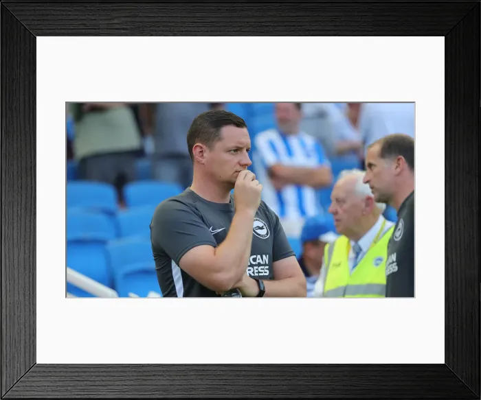 Framed Print : Brighton and Hove Albion vs. Southampton: Premier League Showdown at American Express Community Stadium (24Aug19) Framed Print : Brighton and Hove Albion vs. Southampton: Premier League Showdown at American Express Community Stadium (24Aug19)