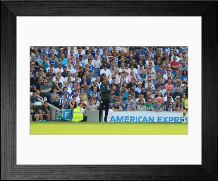 Framed Print : Brighton & Hove Albion vs. Southampton: Premier League Showdown at American Express Community Stadium (24 Aug 2019) Framed Print : Brighton & Hove Albion vs. Southampton: Premier League Showdown at American Express Community Stadium (24 Aug 2019)
